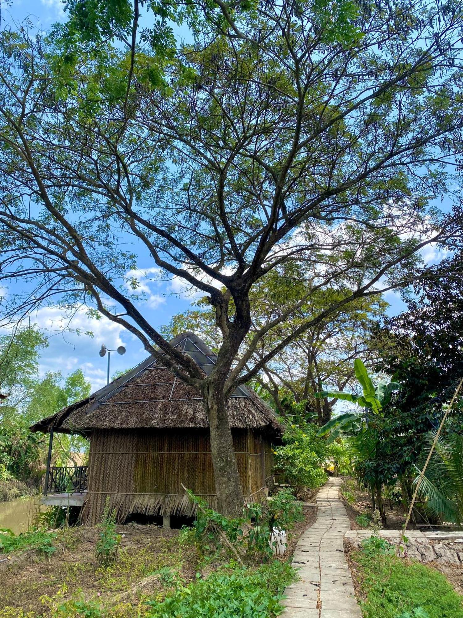 Homestay Mekong 껀터 외부 사진