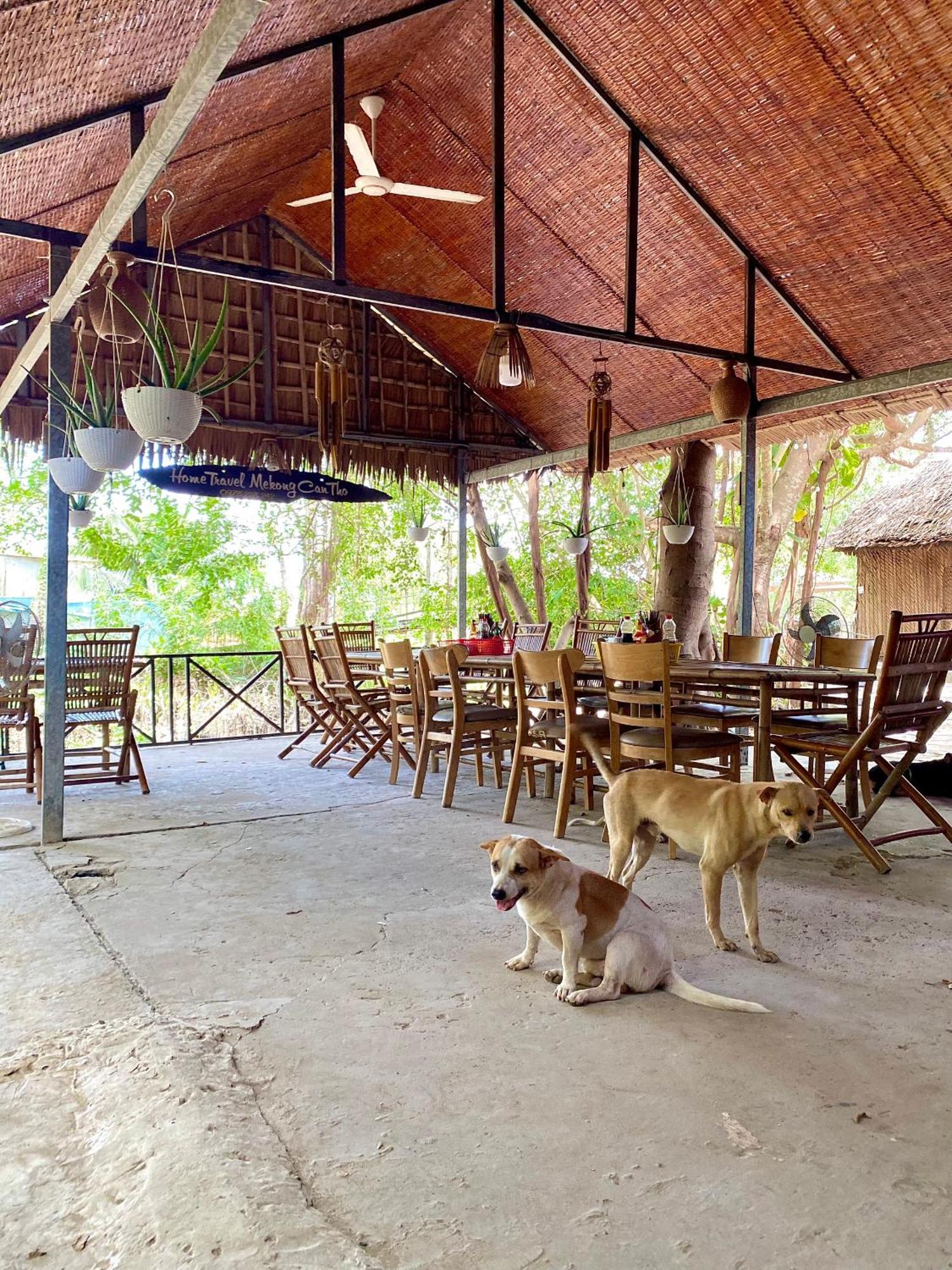 Homestay Mekong 껀터 외부 사진